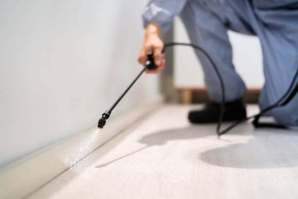 Licensed Termite Control service in Logan, NM - Nex Pest Control