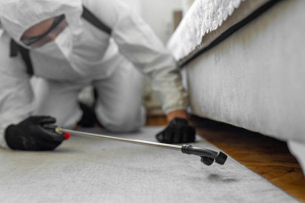 Professional Termite Control technician working in Logan, NM