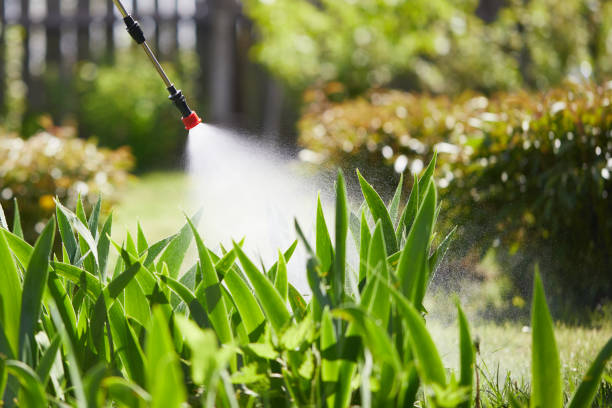 24/7 Emergency Termite Control experts in Logan, NM