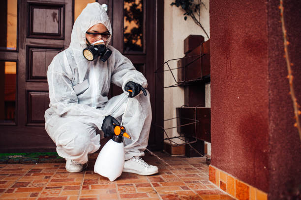 Reliable Termite Control contractor in Logan, NM by Nex Pest Control