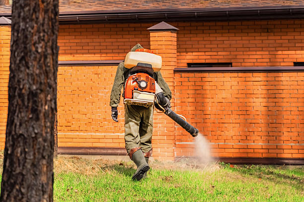Trusted Termite Control service in Logan, NM - Nex Pest Control